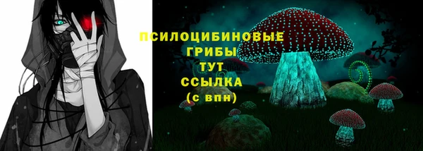 амф Балахна